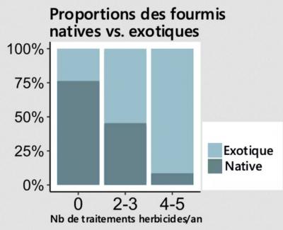 Évolution de la proportion d’espèces de fourmis natives et exotiques dans les communautés en fonction de la fréquence d’application du glyphosate.